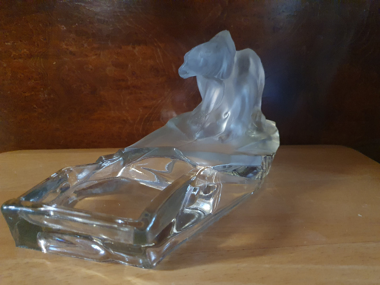 Isbjørne i glas